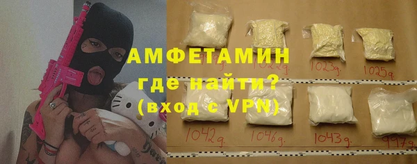 шишки Бородино