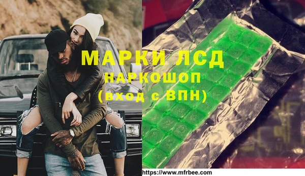 шишки Бородино