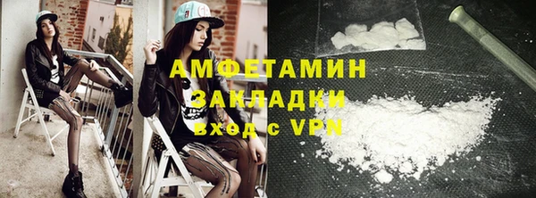 шишки Бородино
